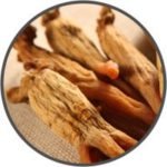 vigrxplus-ingredient-ginseng